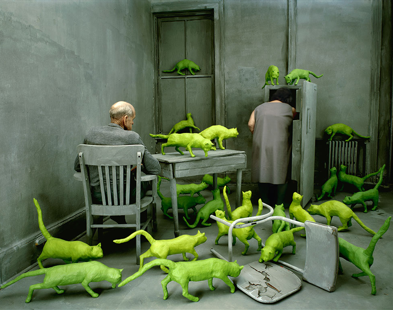 Sandy Skoglund