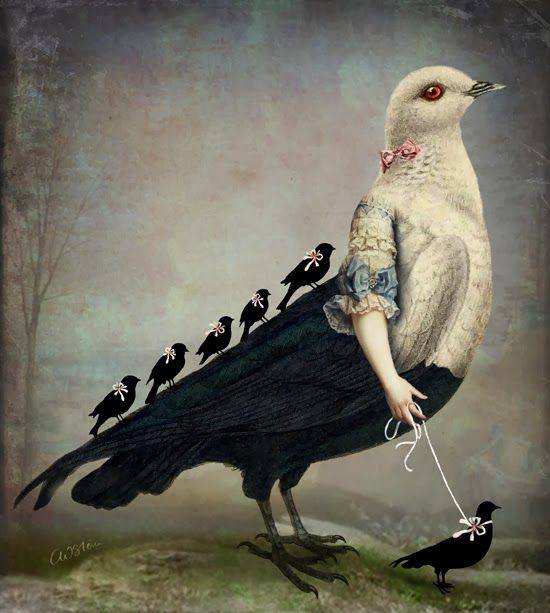 catrin Weltz Stein